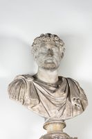 Busto masculino