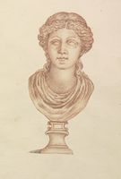 Disegno raffigurante "Busto di Apollo"