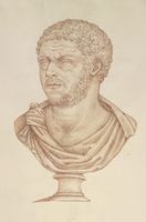 Disegno raffigurante "Ritratto di Caracalla"