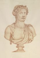 Disegno raffigurante "Busto di Dioniso"