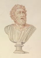 Disegno raffigurante "Busto maschile (Gigante?)"