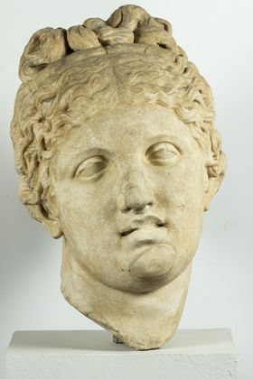 Testa di Afrodite