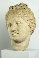 Testa di Afrodite