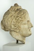 Testa di Afrodite