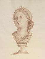Disegno raffigurante "Testa di Afrodite"