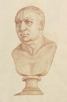 Disegno raffigurante "Busto maschile"