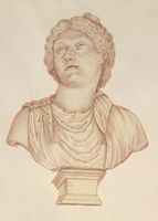 Disegno raffigurante "Testa di Afrodite"