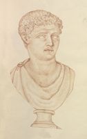 Disegno raffigurante "Testa di atleta"