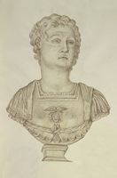 Disegno raffigurante "Ritratto di principe ellenistico"