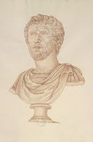 Disegno raffigurante "Busto maschile"