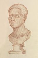 Disegno raffigurante "Busto maschile"