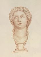 Disegno raffigurante "Ritratto di Agrippina Maggiore"