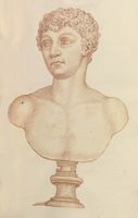 Disegno raffigurante "Ritratto maschile, cosiddetto Antinoo"