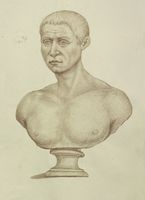 Disegno raffigurante "Ritratto maschile"
