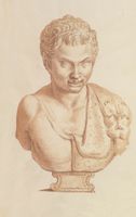 Disegno raffigurante "Testa di Satiro"