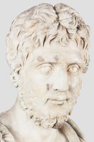 Busto maschile