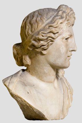 Testa di Apollo