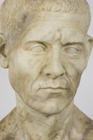 Busto maschile