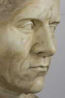 Busto maschile