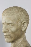 Busto maschile
