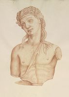 Disegno raffigurante "Busto di Dioniso"