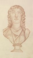Disegno raffigurante "Testa di Kore"