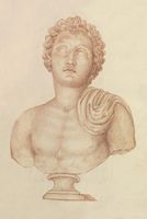 Disegno raffigurante "Testa di Meleagro"