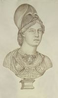 Disegno raffigurante "Busto di Atena"