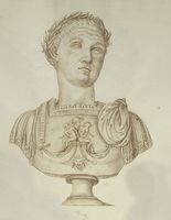 Disegno raffigurante "Ritratto di principe flavio (Domiziano?)"