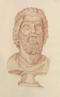 Disegno raffigurante "Testa di Ermes"