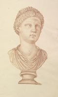 Disegno raffigurante "Testa di Apollo"