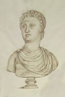 Disegno raffigurante "Ritratto di principe ellenistico"