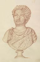 Disegno raffigurante "Busto maschile"