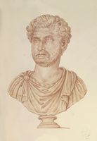 Disegno raffigurante "Busto maschile"
