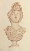 Disegno raffigurante "Testa di Atena"