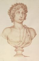 Disegno raffigurante "Testa di Apollo"