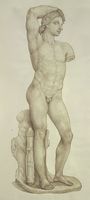 Disegno raffigurante "Apollo Liceo"