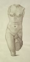 Disegno raffigurante "Torso di Afrodite della Troade"