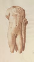 Disegno raffigurante "Torso di Apollo"