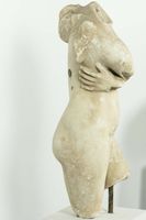 Torso masculino