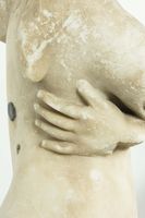 Torso masculino