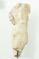 Torso masculino