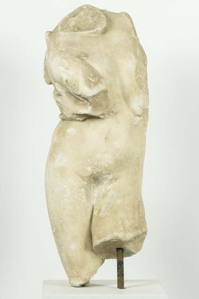 Torso masculino