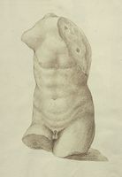 Disegno raffigurante "Torso maschile (frammento di Eros che incorda l'arco)"