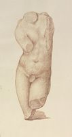 Disegno raffigurante "Torso maschile"