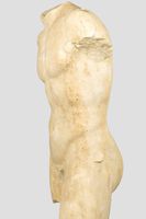 Torso masculino