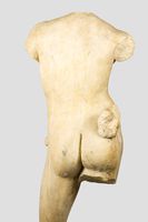 Torso masculino