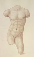 Torso maschile